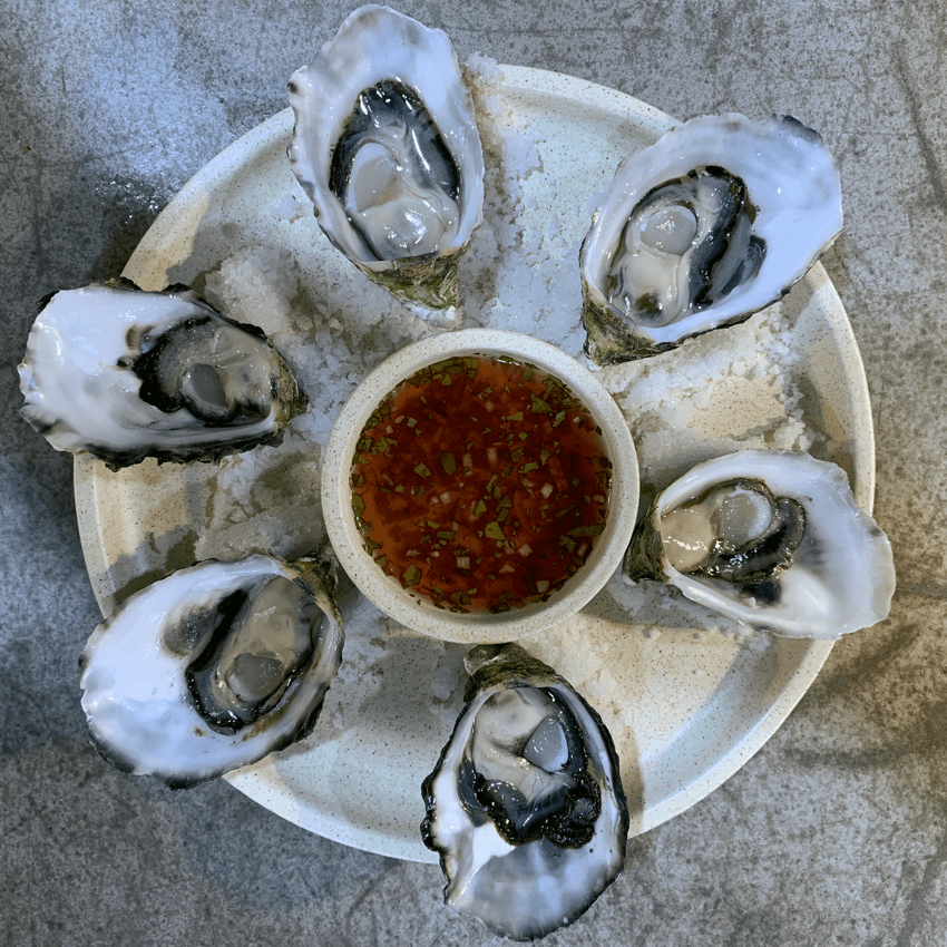 "6 Oysters NATURAL"